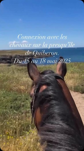 Stage de Connexion énergétique avec les Chevaux✨🐴💫 Une expérience unique et transformatrice! Du 15 au 18 mai 2025, sur la presqu’ile de Quiberon en Bretagne, offrez-vous une immersion profonde au cœur de la sagesse équine.🐴💫💜 ✨Reconnexion à soi à travers l’amour inconditionnel des chevaux. Ce stage est une opportunité de : ✨Se reconnecter à soi et à ses perceptions subtiles par la présence apaisante des chevaux; ✨Découvrir la communication intuitive et énergétique; ✨Vivre des moments de grâ