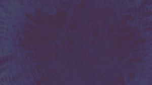 6K views | This laptop is more than just a device; it’s a gateway to creativity, innovation, and endless possibilities. Whether you’re coding the next big app, designing stunning visuals, or writing your masterpiece, let these laptop skin stickers remind you to dream big, work hard, and stay inspired every step of the way. Order Now. #laptop #laptopskinsticker #stickershop #stickers #StickerBusiness #dell #hp #Lenovo #Macbook | Exclusive Sticker | Facebook