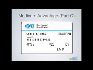 Review Of Insurance Cards