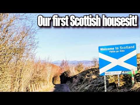 Our First Scottish House Sit! Chickens, Dog, Cat & Island Dreams