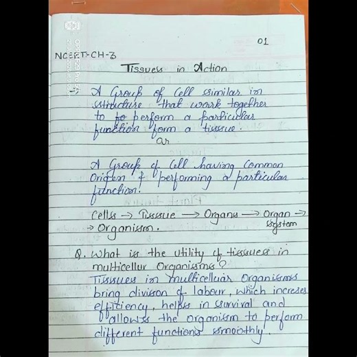 Biology Notes Of class 9th| Class 9th| Tissue in Action|