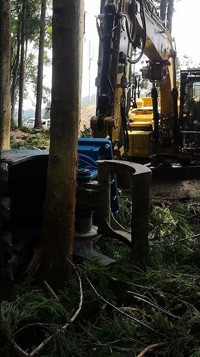 Logging with high-performance forestry machinery