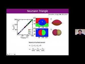 CFTC seminar: Modelling ternary fluid flows with free energy lattice Boltzmann method