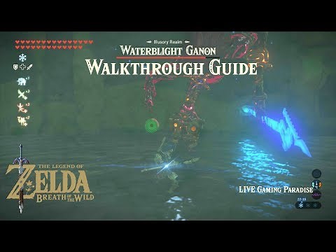 Breath of the Wild | EX Champion Mipha's Song [DLC 2] Illusory Realm [Waterblight Ganon]