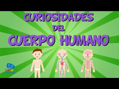 Curiosidades del Cuerpo Humano | Videos Educativos para Niños.