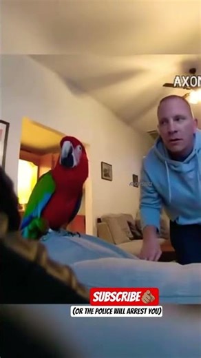 Parrot Argues With Police on Bodycam Footage🦜👮🏽‍♂️
