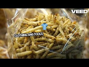 Ultimate Prepper Guide Essential Steps Revealed!