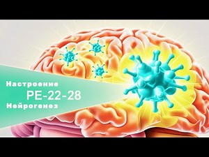 🧠 Pe 22-28: A happiness peptide with no side effects! 😊 Boost your neurogenesis and forget about ...