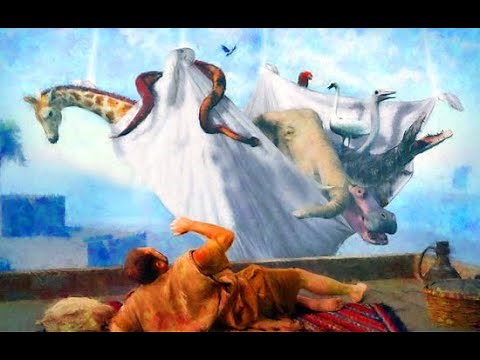 PETERS VISION IN ACTS 10