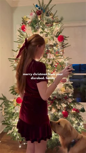 Disrobed by M+M on Instagram: "Almost Christmas Eve 🎄 Tree is looking good, home with family and our furry friends, and all is merry and bright. Wishing you the happiest holiday—may Santa bring you a little sparkle, a few new @disrobed.bymm pieces in your stocking or under the tree! 🎁✨ #almostchristmaseve #christmasvibes #holidaymood #merryandbright #homefortheholidays #familytime #furryfriends #christmastreevibes #holidaymagic #boutiquelife #boutiqueowner #womenownedbusiness #shopboutique #ho