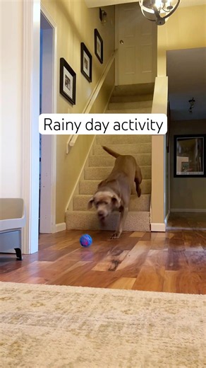 Rainy day play 🌧️