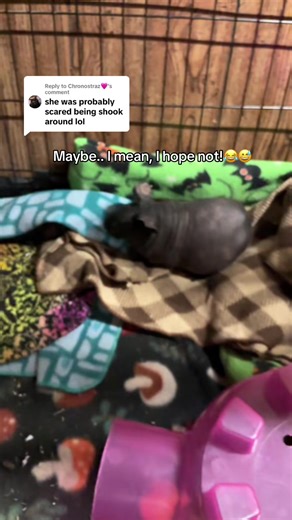 Understanding Tweaking Behavior: What It Means and Why It Happens