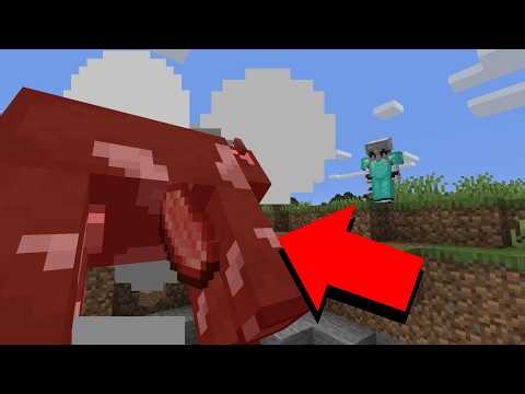 Catching the Ender Dragon in a mode where everything explodes when you look at it