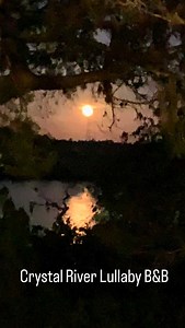 Secluded island oasis in Crystal River that offers a unique escape to travelers and Gluten-free Breakfast. . “They say at night, you can hear all of the island’s habitat, and it sounds like a ‘lullaby’.” #crystalriver #inn #experience #travel #accomodation | Crystal River Lullaby B&B