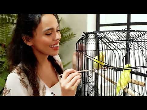 Yaheetech Cage Oiseaux Volière Portable Perruche Canari 46 x 35,3 x 92 cm avec Support Détachable