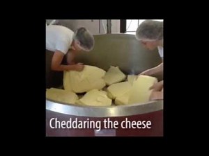 Cheesemaking at Derg Cheese