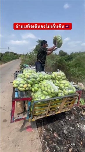 ถ่ายเสร็จเดินลงไปเก็บ