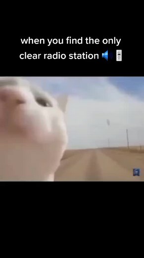 Exploring Navajo Culture Through Traditional Foods