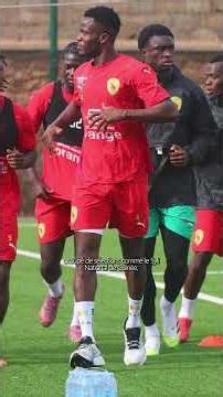 Football : le technicien français Patrice Neveu pour sauver le Togo ?