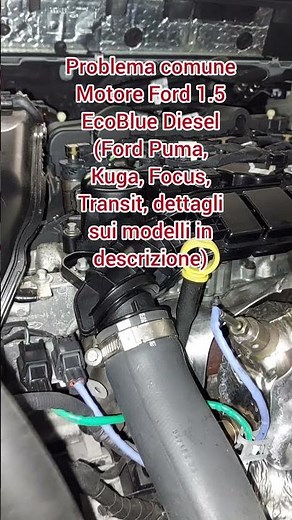 Common Problem: Ford 1.5 EcoBlue Diesel Puma Kuga Focus Transit Camshaft Chain