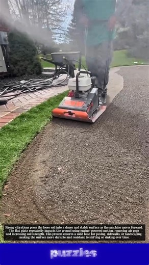 Mini Soil Compactor Machine That Makes Ground Super Solid!