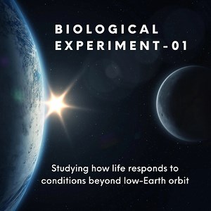 BioExpt-01 - NASA Science
