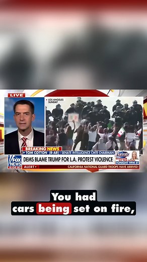 What we cannot allow in this country is lawless violence against innocent civilians and property. | Tom Cotton
