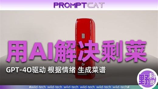 我保证这东西你没见过