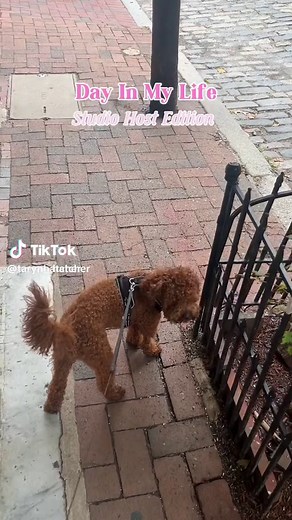 Taryn🙃 (@taryn__hatcher)’s videos with original sound - Taryn🙃