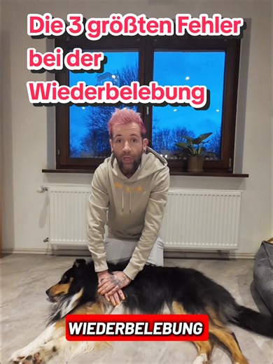 Die 3 größten Fehler bei der Wiederbelebung am Hund – und ja, ich habe sie leider selbst in Erste-Hilfe-Kursen gesehen. 1. Der Untergrund: nur ein harter Untergrund gibt genug Widerstand für ausreichenden Druck. 2. Die Position des Hundes: Der Hund sollte auf der.rechten Seite und mit dem Rücken zu euch liegen. 3. Die Zeit: Die meisten geben zu früh auf, eine Wiederbelebung kann durchaus 30 Minuten oder mehr daurn. Ein lebloser Hund braucht keine Perfektion, aber mit der richtigen Technik steigt