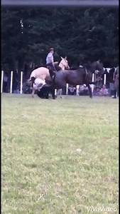 148K views · 1.7K reactions | (40) | Radio Rural 610 AM | Facebook