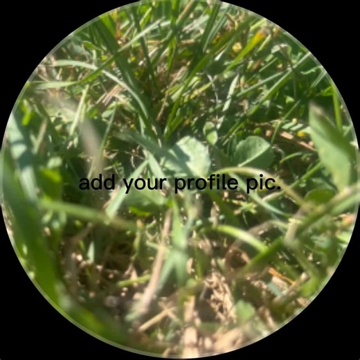 sophie (@sophie_gacha123)’s videos with