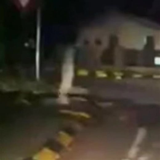 Exploring the Dark Web: Cursed Images and Videos