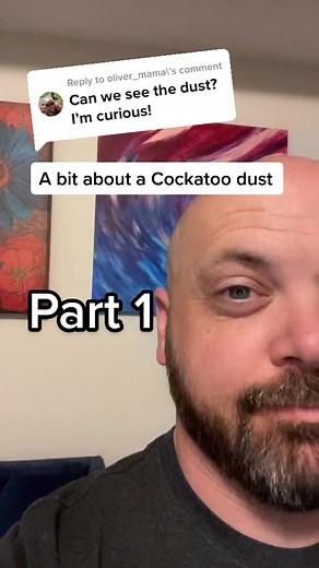 Managing Cockatoo Dust: Tips and Tricks for Bird Owners