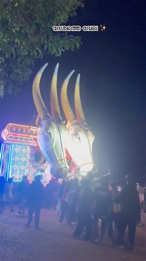 😢😟ചാടി തുള്ളി പോയപ്പഴേ ഞാൻ വിചാരിച്ചതാ 🥹 #curlsbeautywithvindhu #trending #shorts