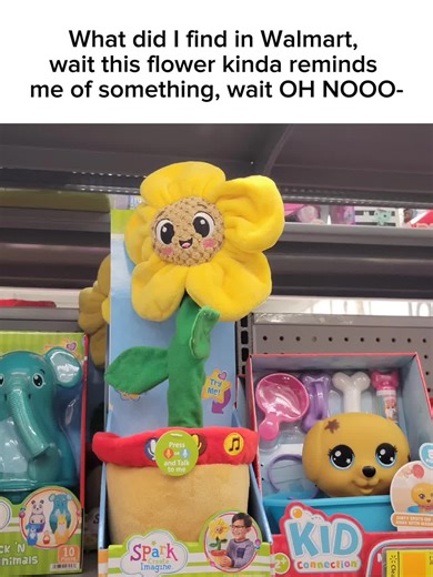 Funny Undertale Flower Meme Found at Walmart
