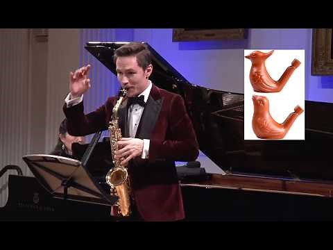 Fuzzy Bird Sonata - Yoshimatsu