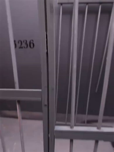 Zach King 👑#fypシ #fyp #tiktok #handmade #zachking