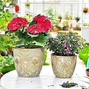 Sungmor Large Heavy Duty Cement Planters, Beautiful Embossed Concrete Garden Pots, 8" & 10" Set of 2 Plant Pots with Drainage Hole, Home Garden Decorative Flower Pots for Indoor Outdoor Plants Floral