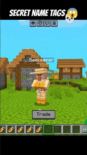 Minecraft Secret Name Tags 🏷️😱