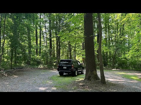 2005 Toyota 4runner Limited v6 Review