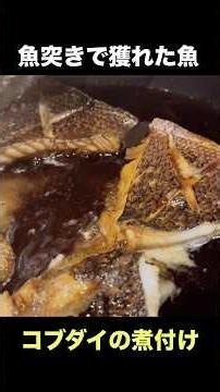 [Simmered Kobudai] The catch from my spearfishing trip was exquisite