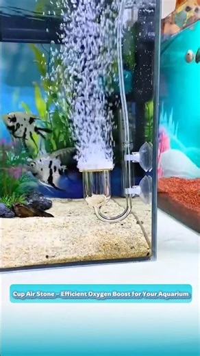 Cup Air Stone – Efficient Oxygen Boost for Your Aquarium