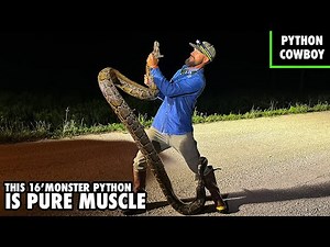 Will The Burmese Python Problem In The Florida Everglades Ever Be Resolved