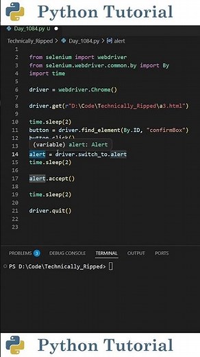 How to Click OK on Alerts in Selenium | Python Tutorial