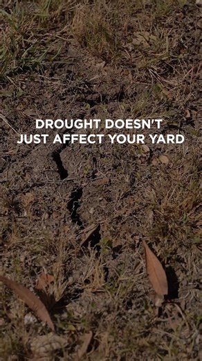 Drought doesn’t just dry out your yard. It can dry out the soil under your home. When soil shrinks, your foundation can shift. Here’s what to watch for: ⚠️ Wall or brick cracks ⚠️ Sticking doors & windows ⚠️ Gaps around door frames ⚠️ Uneven floors Small signs now can mean bigger problems later. If something feels off, don’t ignore it. | Groundworks