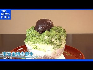 【かき氷のまち・佐原】約30店舗!わらびもち専門店の≪黒蜜きなこ≫に大正ロマンな喫茶店の《宇治金時》 涼を求めて歴史ある街を散策！｜TBS NEWS DIG
