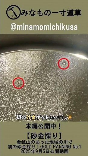 【砂金採り】金鉱山のあった地域の川で初の砂金採り！GOLD PANNING No.1 #Shorts