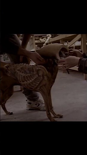 On the set of the film Aline 3 (1992)