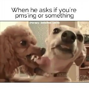 5.5K views · 40 reactions | Don’t dare | Pretty Doll Palace | Facebook